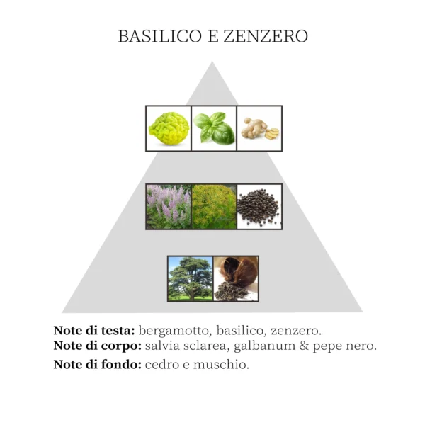 Profumo per Ambiente Spray Basilico e Zenzero - immagine 2